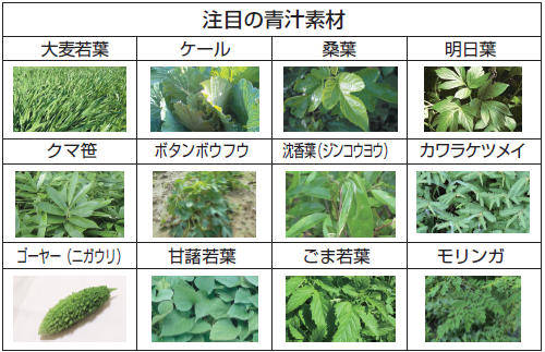 注目の青汁素材