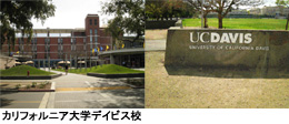 カリフォルニア大学デイビス校